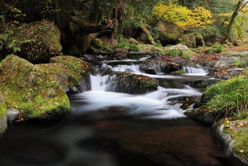 菊池渓谷 菊池渓谷,熊本県,渓流の写真素材
