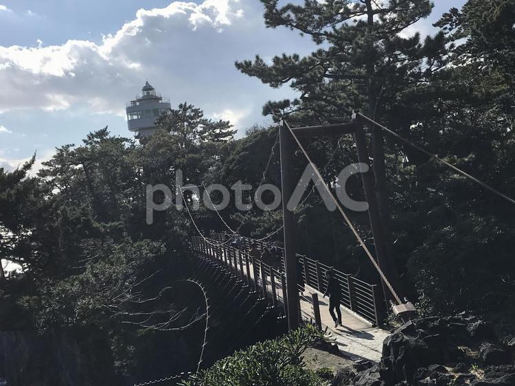 吊り橋　伊豆　城ヶ崎海岸 自然,海,空の写真素材
