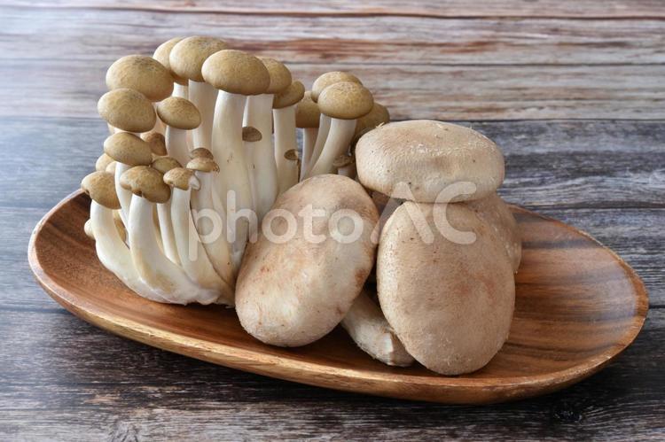 秋の収穫　きのこ しいたけ,椎茸,しめじの写真素材