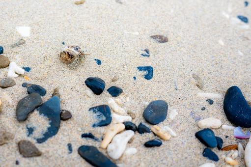 ビーチのヤドカリ ビーチのヤドカリの写真