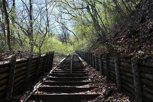 群馬県の伊香保にある山ノ上公園への散策路 群馬県の伊香保にある山ノ上公園への散策路の写真
