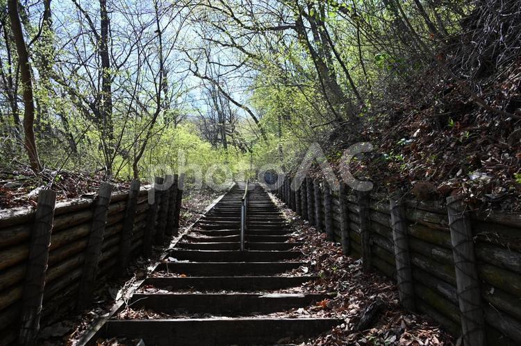 群馬県の伊香保にある山ノ上公園への散策路 散策,風景,japanの写真素材