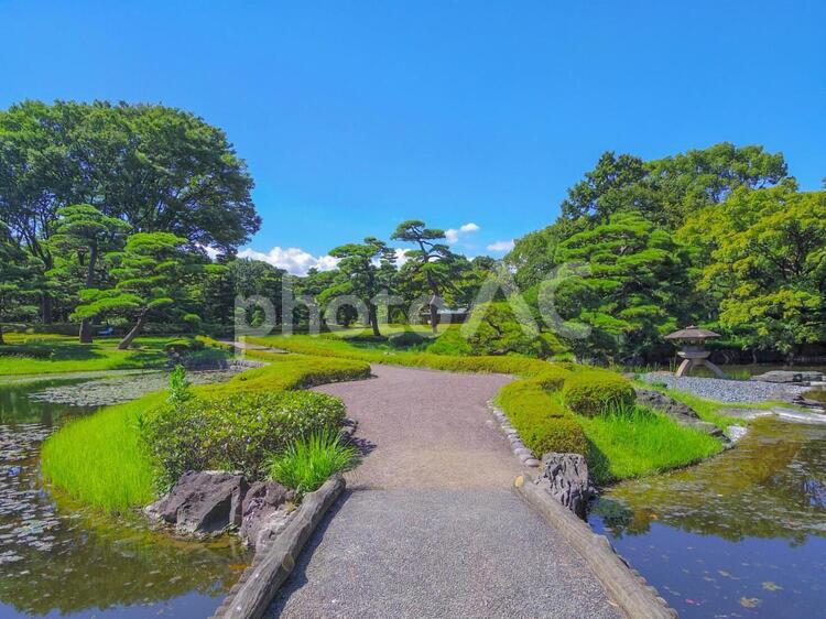 【東京都】江戸城の二の丸庭園 江戸城,千代田区,二の丸庭園の写真素材