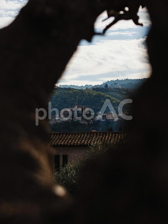 木の隙間から覗く小さなフランスの街 木,隙間,フランスの写真素材