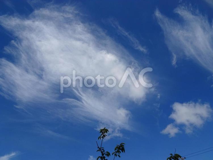 七月の雲-24 七月の雲,青空,空の写真素材