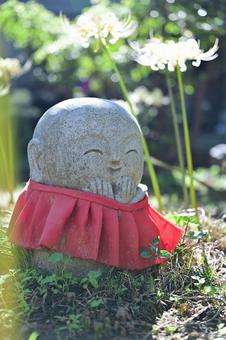 金沢・香林寺の白い彼岸花 金沢・香林寺の白い彼岸花 日本,石像,観光地の写真素材