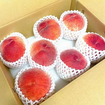 桃_peach_017_R0260 桃_peach_017_R0260の写真
