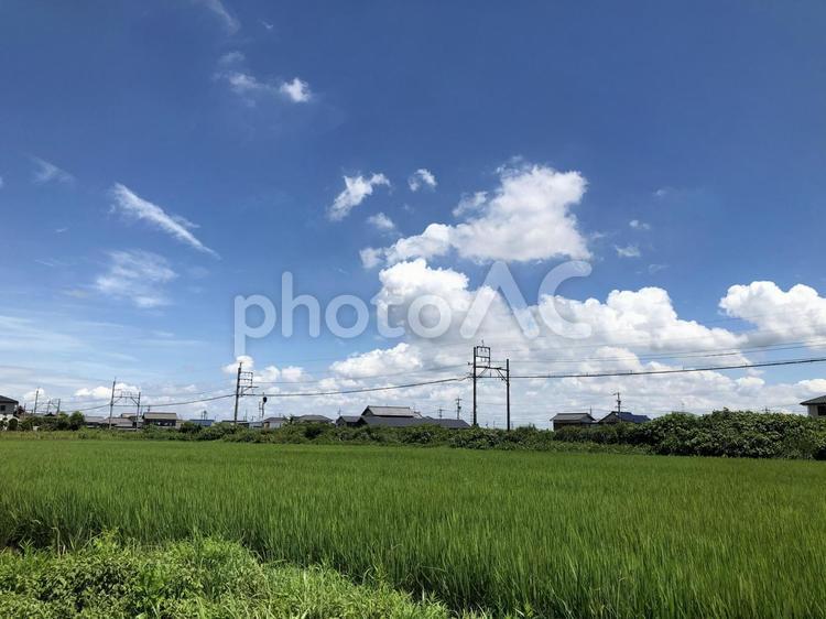 自然豊かな日本の風景 日本,青空,田舎の写真素材
