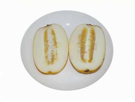 チャメ チャメの写真