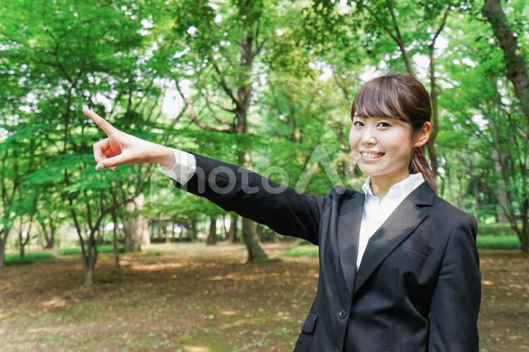 上を指さすビジネスウーマン 就職,ビジネスウーマン,女子社員の写真素材