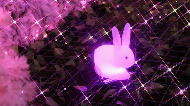 御殿場高原時之栖のイルミネーション イルミネーション,夜景,ライトアップの写真素材