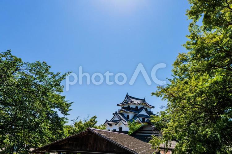滋賀県彦根市の「彦根城」です 観光名所,城,彦根城の写真素材