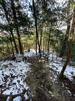 淡雪 1 淡雪 1の写真