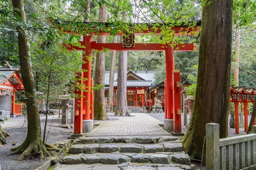 三重　椿大神社　椿岸神社　鳥居 椿大神社,椿,神社の写真素材