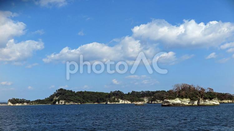 松島 植物,海,日本三景の写真素材
