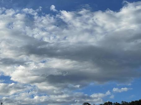 空の雲 空の雲の写真