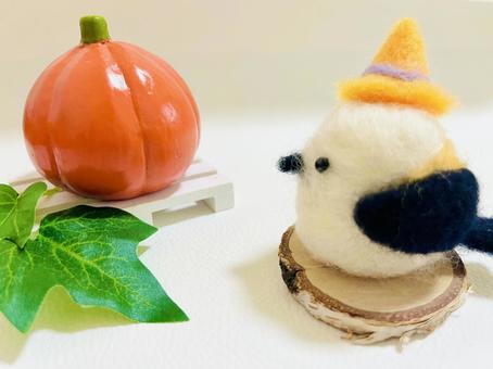 ハロウィンのシマエナガ シマエナガ,鳥,白い鳥の写真素材