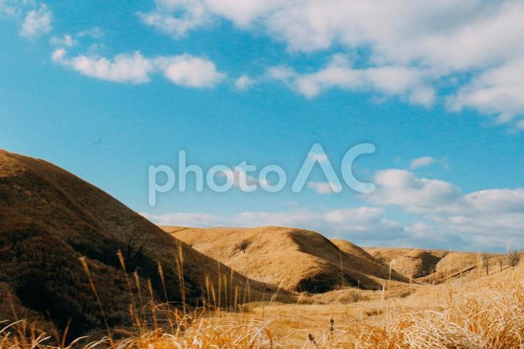 秋のすすき、阿蘇の山々、青空 すすき,熊本,登山の写真素材