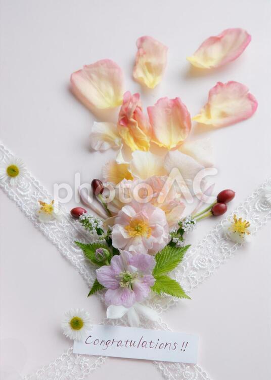 おめでとう初夏の花と実 おめでとう,カード,お祝いの写真素材