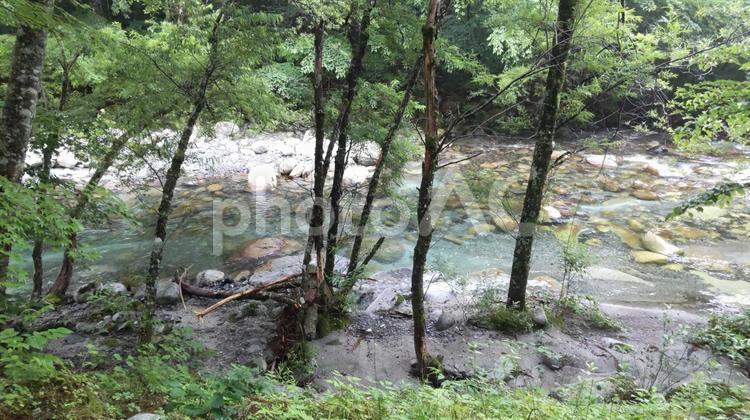 新緑の中の清流 風景,新緑,自然の写真素材