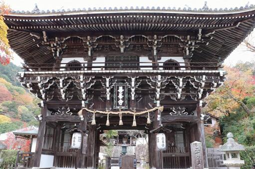 善峯寺　山門 善峯寺,山門,よしみねでらの写真素材