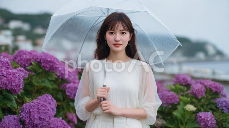 アジサイを背景に傘をさす女性 梅雨,紫陽花,アジサイの写真素材
