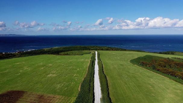 宗谷岬の奇跡 周氷河地形と白い道 最北端 宗谷岬の奇跡 周氷河地形と白い道 最北端の写真