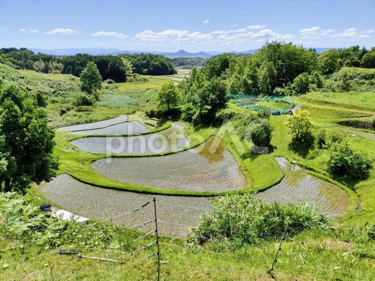 棚田の田植え＿230601 棚田,田植え,水田の写真素材