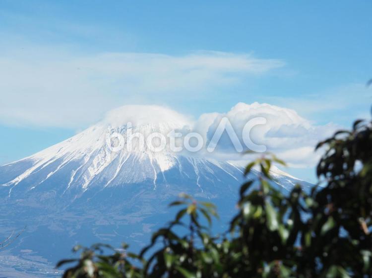 篠井山から見る富士山1 富士山,登山,山登りの写真素材
