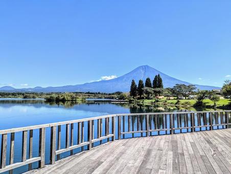 ウッドデッキで眺める夏の田貫湖 ウッドデッキで眺める夏の田貫湖 富士山,湖,自然の写真素材