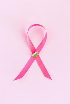ピンクリボンと葉 ピンクリボン,乳がん,啓発の写真素材