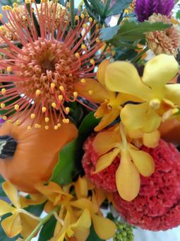 秋色 オータムカラー オレンジ,秋らしい,フラワーアレンジメントの写真素材