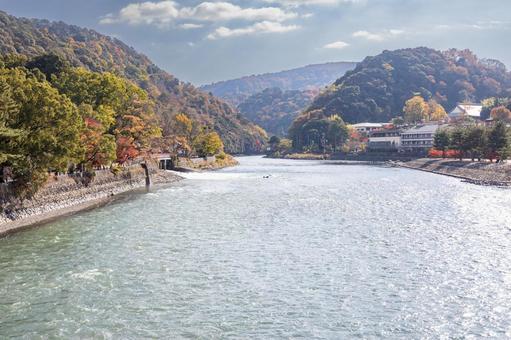 宇治川と紅葉 宇治川と紅葉 宇治川,紅葉,秋の写真素材
