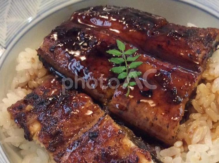 土用の丑の日(鰻丼） うなぎ,うなぎ丼,お米の写真素材