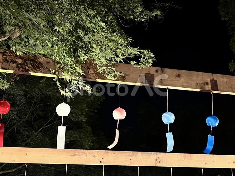 夜の風鈴と青紅葉 風鈴,青紅葉,カラフルの写真素材