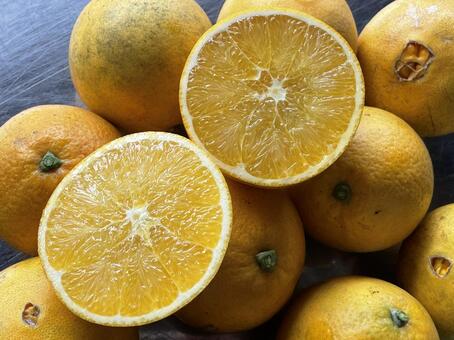 ネーブル ネーブルオレンジ,柑橘,フルーツの写真素材