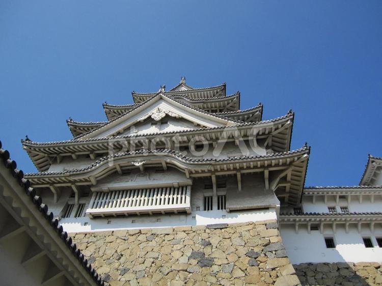 姫路城　との一門からの天守閣 姫路城,白鷺城,平山城の写真素材