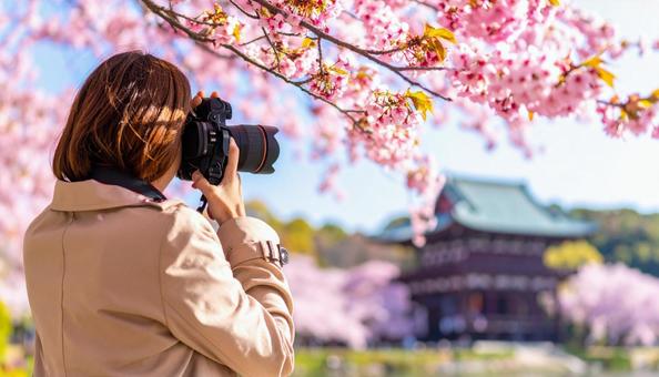 一眼レフを首から下げ手に取る女性 一眼レフを首から下げ手に取る女性の写真