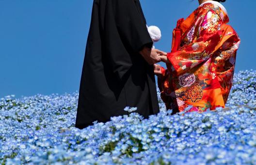 婚禮情侶nemophila, JPG 婚禮情侶nemophila, JPG