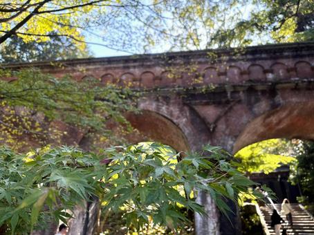 水路閣と青紅葉 水路閣,アーチ,レンガの写真素材