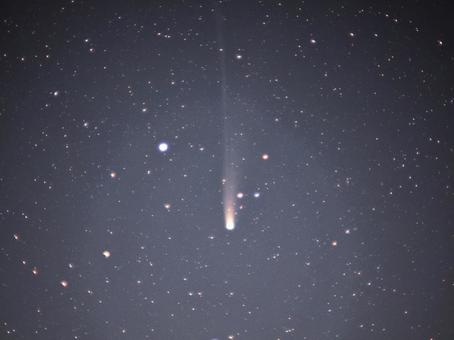 １１月１日のレモン彗星 ２０２５a６,レモン,彗星の写真素材