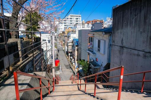 東京都新宿区 須賀神社石段 須賀神社,神社,四ツ谷の写真素材
