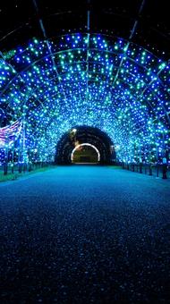 ゆりの里公園イルミネーション ゆりの里公園,福井県,ライトアップの写真素材