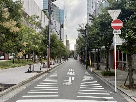 朝方の大阪駅周辺　道路や横断歩道 大阪,横断歩道,早朝の写真素材