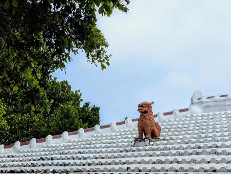 白い沖縄屋根とシーサー 沖縄,シーサー,魔除けの写真素材