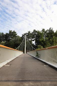 アルプスあづみの公園 橋 アルプスあづみの公園 橋の写真
