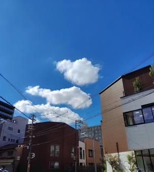 犬とお魚2匹 犬とお魚2匹 空,晴天,ブルースカイの写真素材