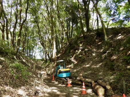 守谷城址公園の大堀切 守谷城址公園の大堀切の写真