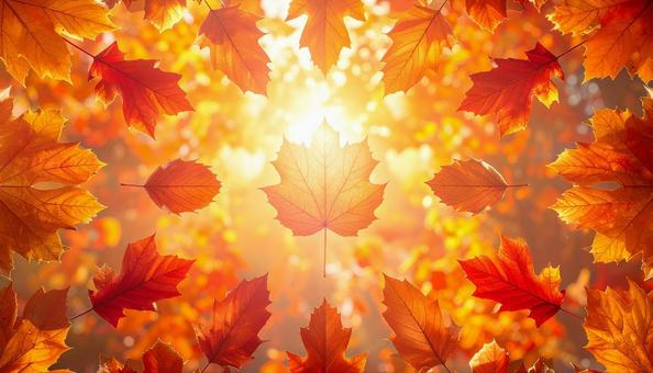 光を囲む紅葉のサークル 光を囲む紅葉のサークルの写真