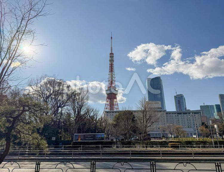 芝公園から東京タワーが見える オブジェ,飾り,大門の写真素材